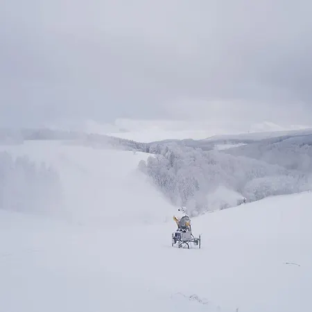 Altastenberg فندق