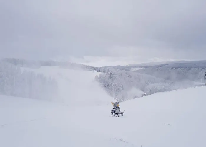 Altastenberg Отель