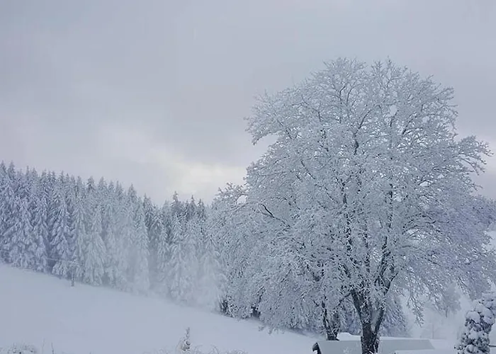 Altastenberg وينتربرغ