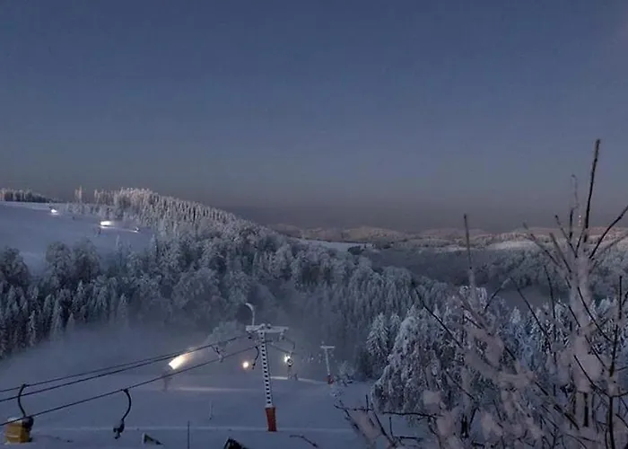 فندق Altastenberg 2*