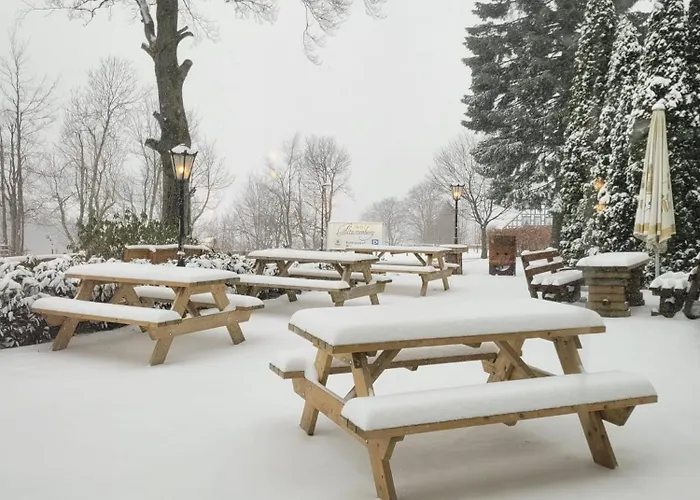 Altastenberg Отель 2*